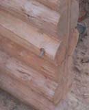 �������� ��� ����������