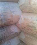 �������� ��� ����������